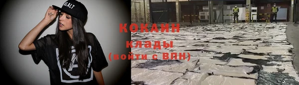 тгк Алзамай